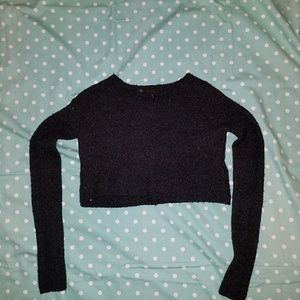 BCBG Crop Sweater